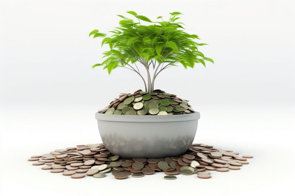 Investment money plant bonsai. AI generated Image by rawpixel.
