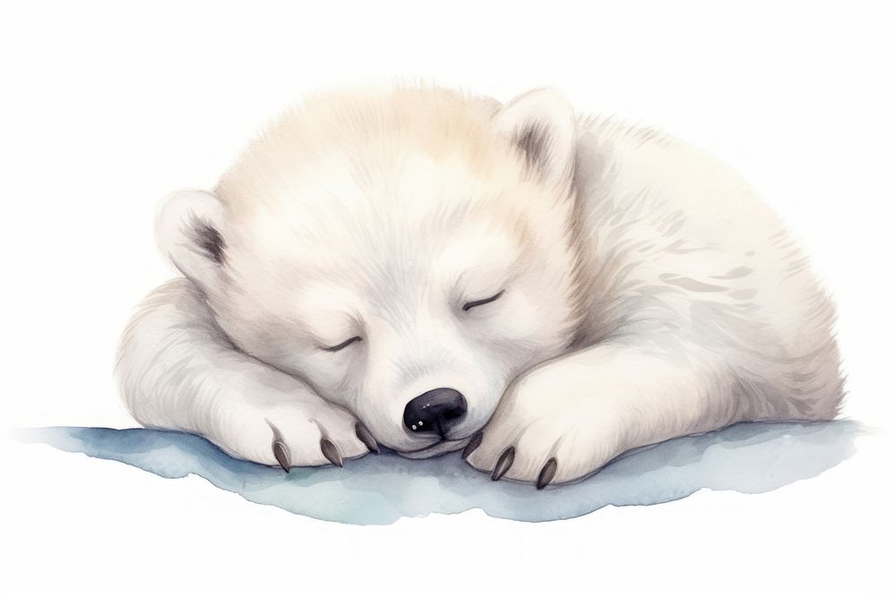 Baby polar bear characters sleep animal mammal white. AI generated Image by rawpixel.
