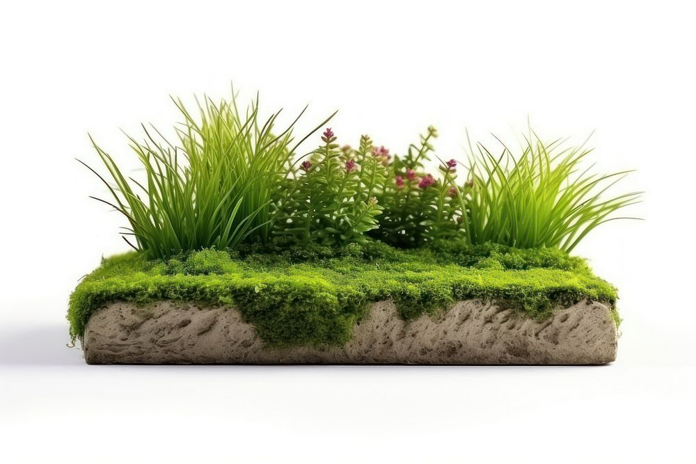 Garden grass outdoors nature. AI generated Image by rawpixel.