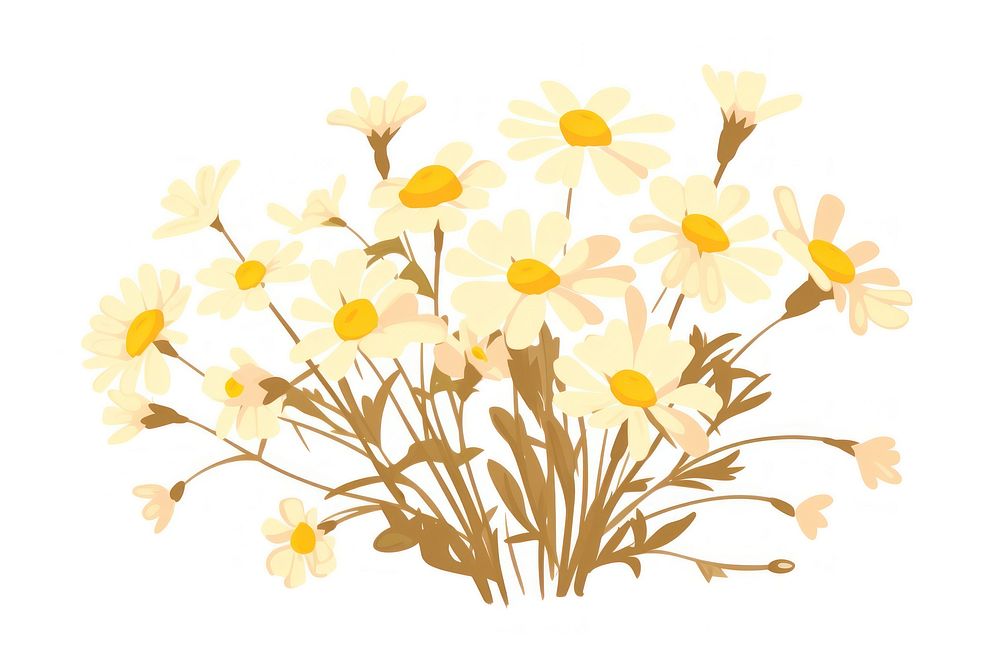Spring chamomile blooming flowers petal plant white. AI generated Image by rawpixel.