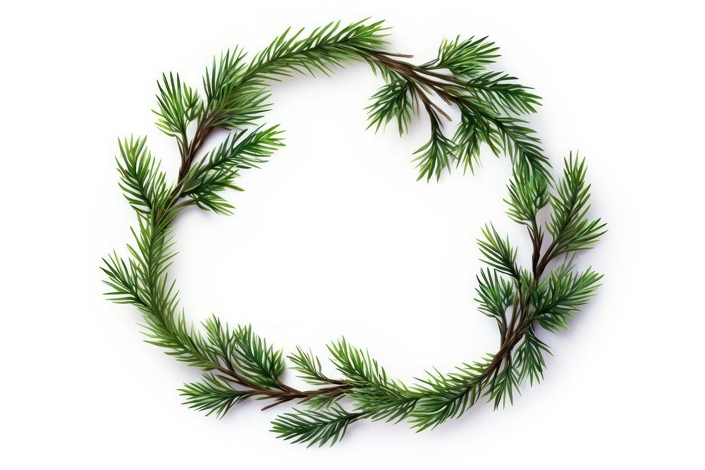 Pine Branches Floral wreath branch plant tree. AI generated Image by rawpixel.