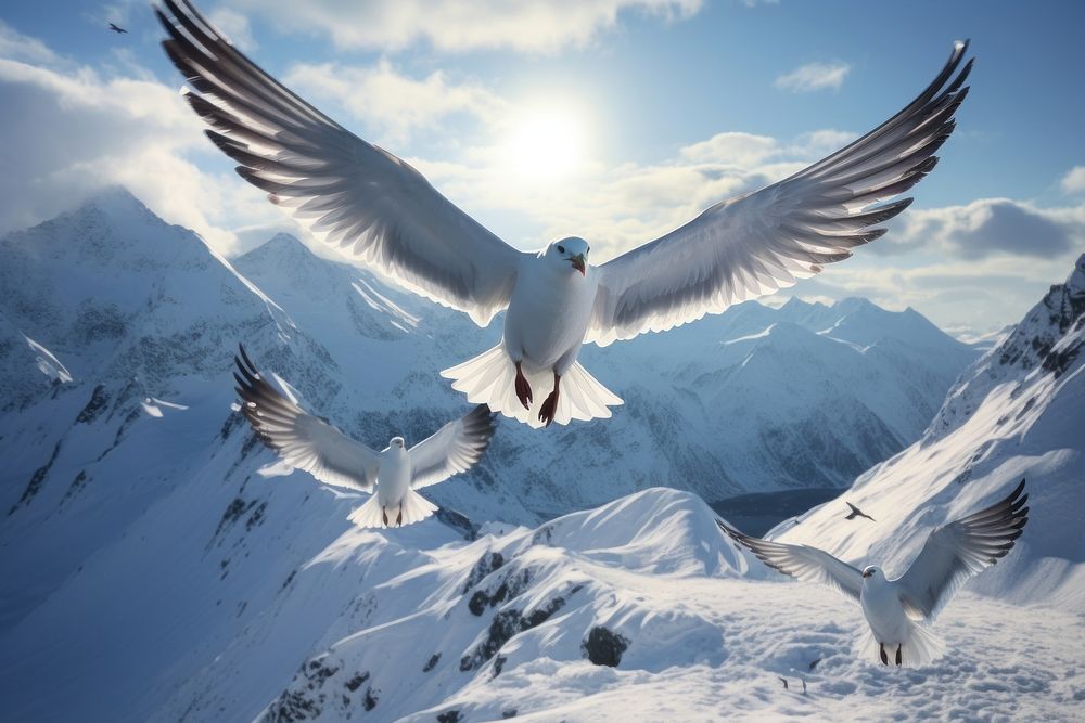 Arctic terns flying landscape mountain. AI generated Image by rawpixel.