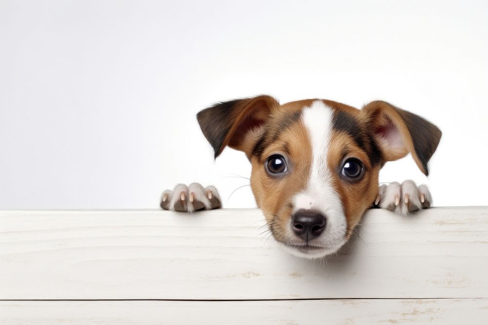 Puppy mammal animal hound. AI generated Image by rawpixel.