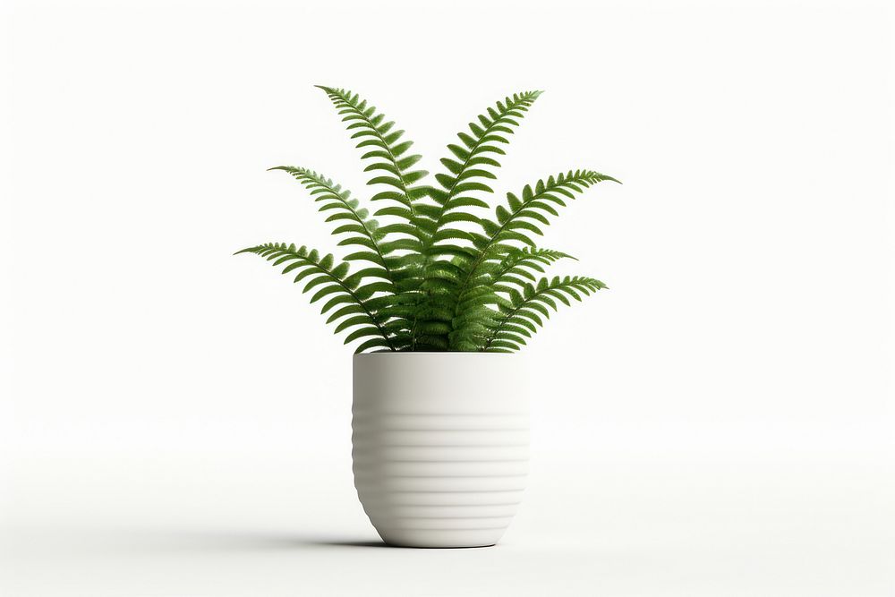 Fern plant vase leaf. AI generated Image by rawpixel.