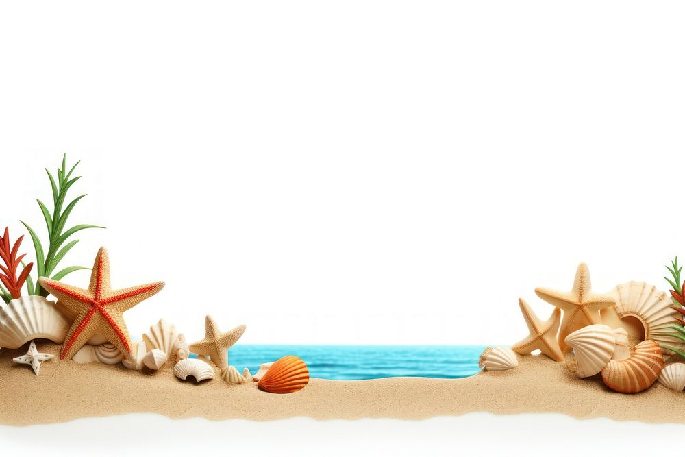 Beach border seashell outdoors white background. AI generated Image by rawpixel.