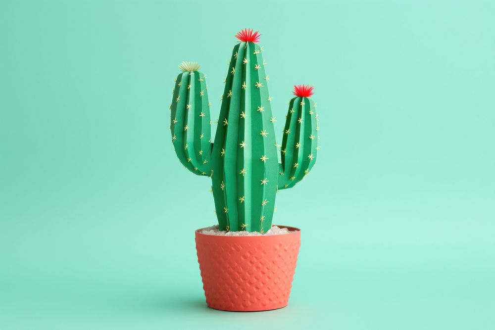 Cactus plant houseplant decoration. AI generated Image by rawpixel.