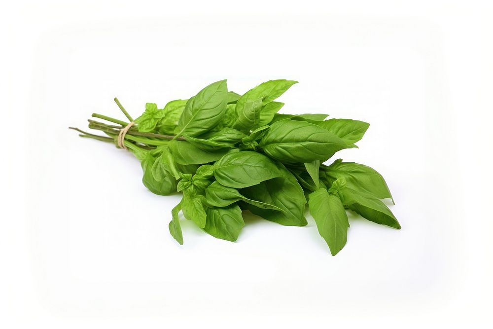 Thai basil vegetable spinach plant. AI generated Image by rawpixel.