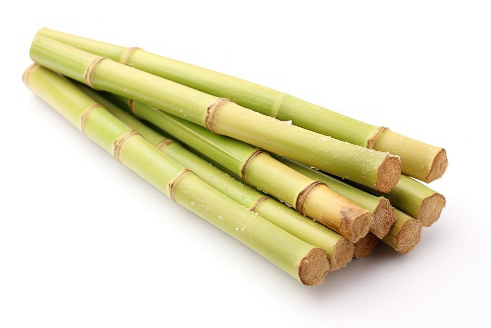 Sugar cane bamboo plant white background. AI generated Image by rawpixel.