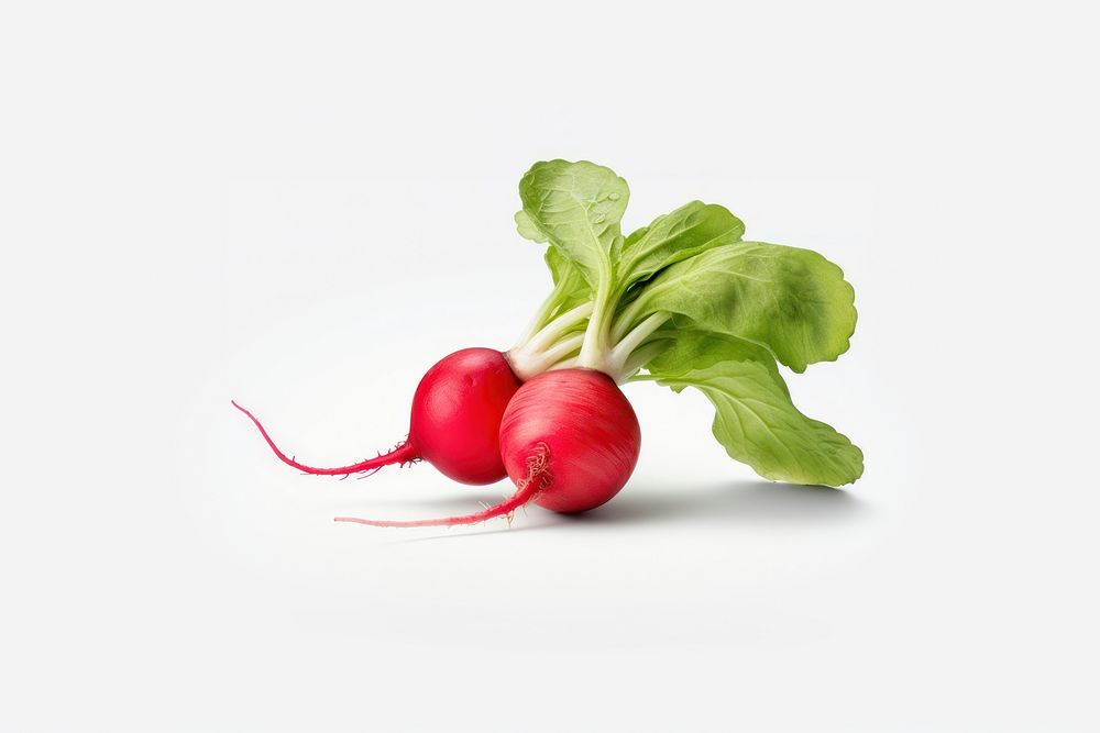 Radish radish vegetable plant. AI generated Image by rawpixel.