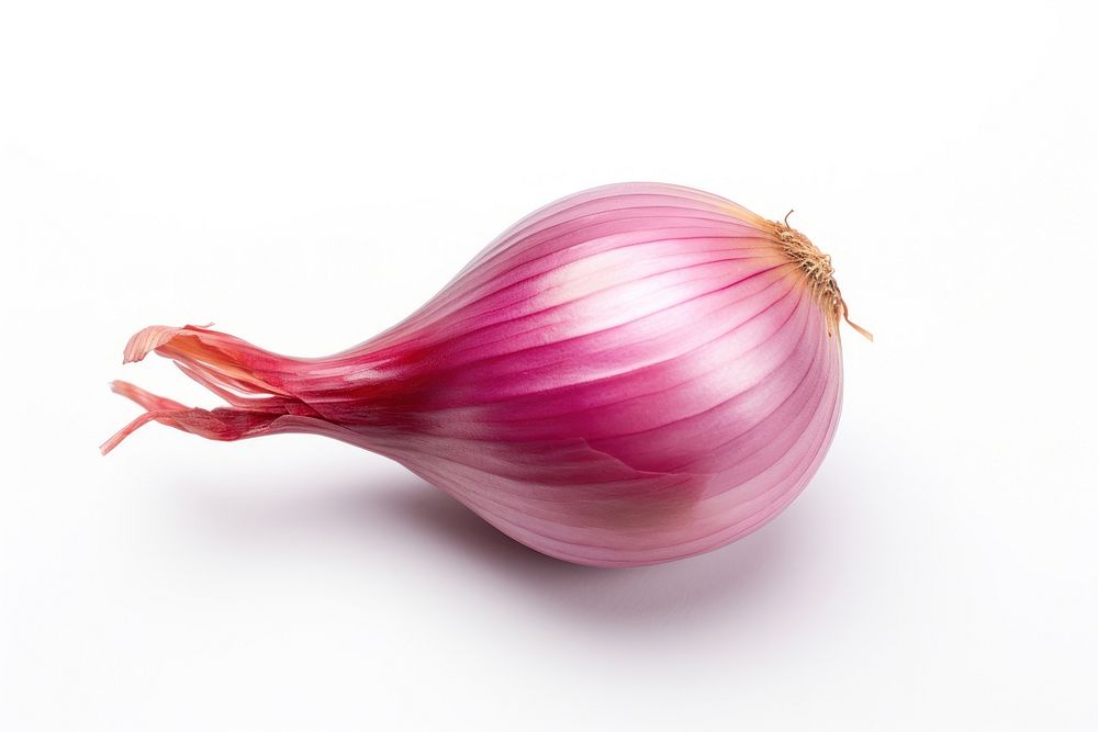 Shallot Shallot shallot vegetable onion. AI generated Image by rawpixel.