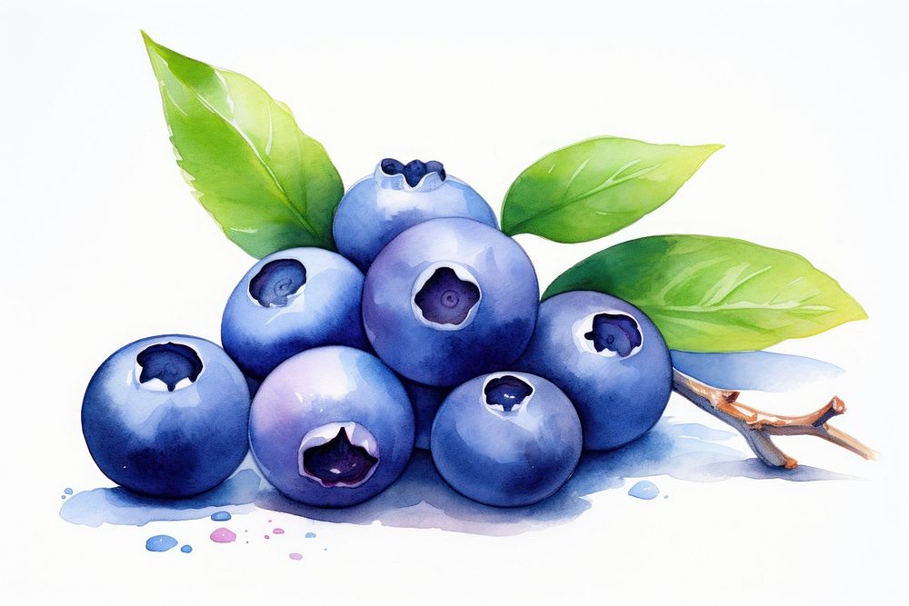 Blueberry fruit plant food. AI generated Image by rawpixel.