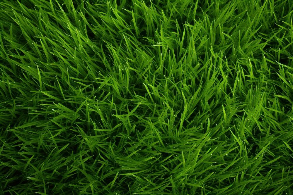 Green grass texture plant lawn tranquility. AI generated Image by rawpixel.