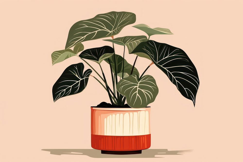 Alocasia longiloba pottery plant leaf. AI generated Image by rawpixel.