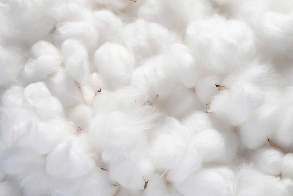 Cotton fiber texture backgrounds cotton white. AI generated Image by rawpixel.