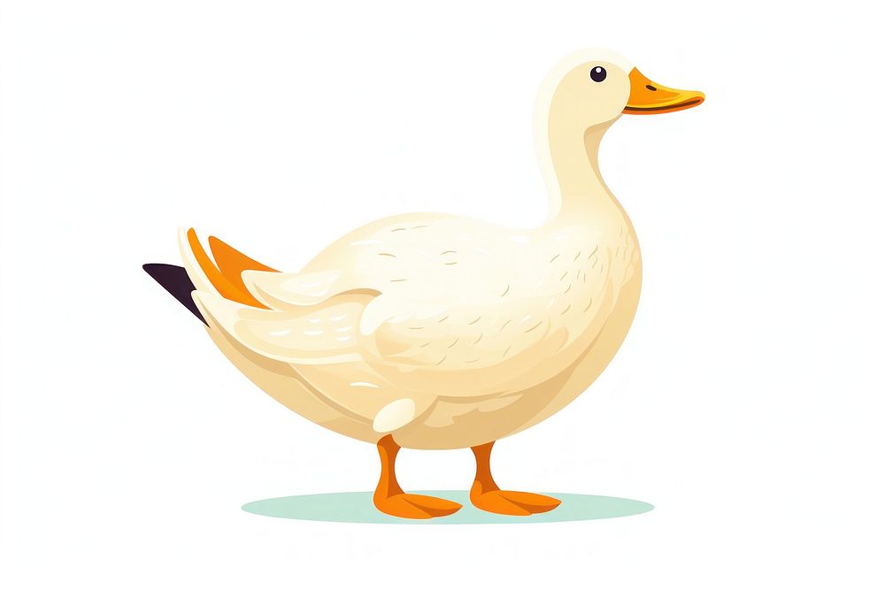 Duck animal goose white. AI generated Image by rawpixel.