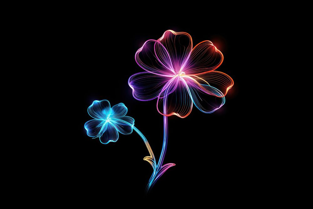 Neon pattern flower light.