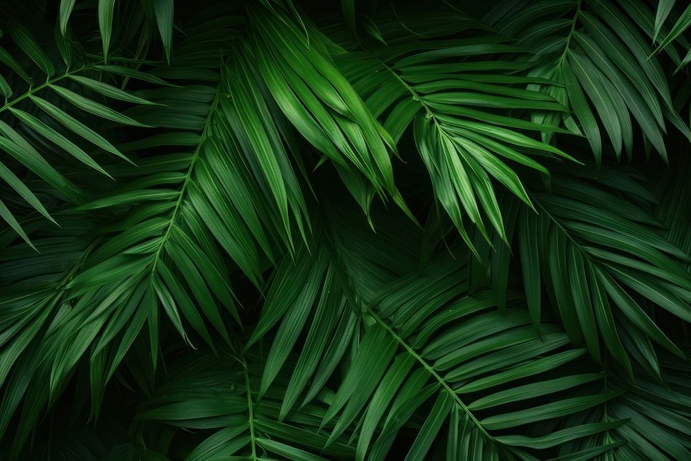 Palm Green plant green backgrounds. | Free Photo - rawpixel