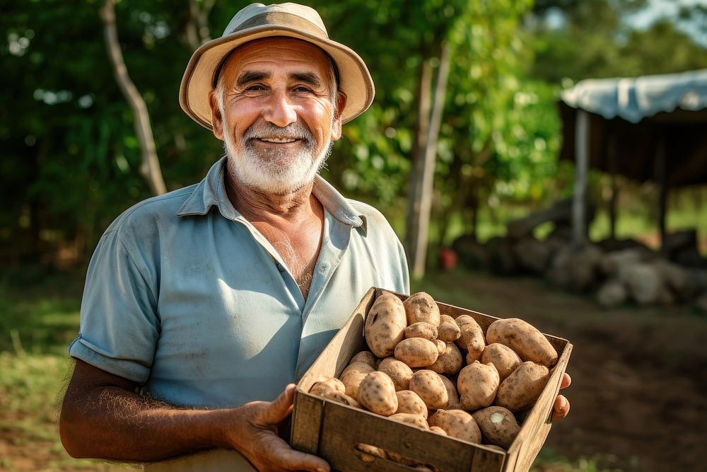 Male farmer vegetable holding potato. 