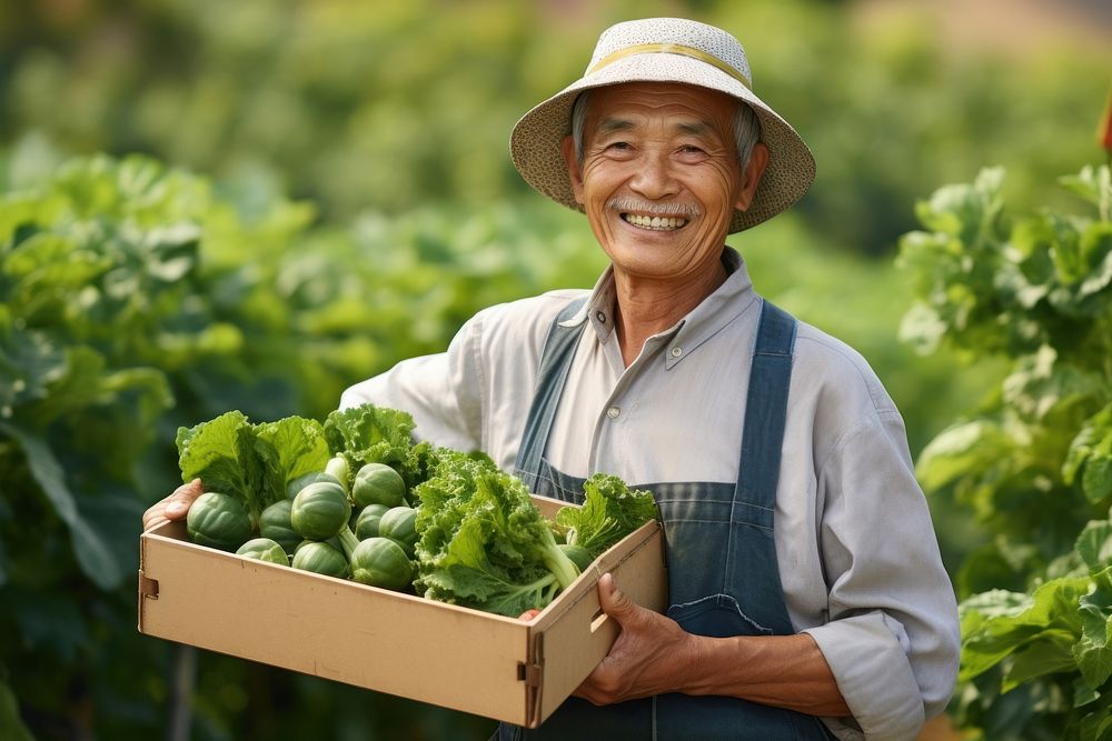 Happy old asian gardening vegetable outdoors. 