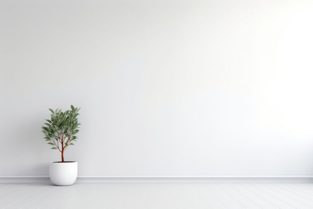 Minimalist interior wall architecture plant. 