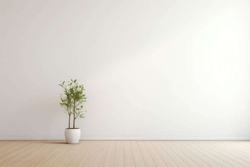 Minimalist interior wall architecture plant. 