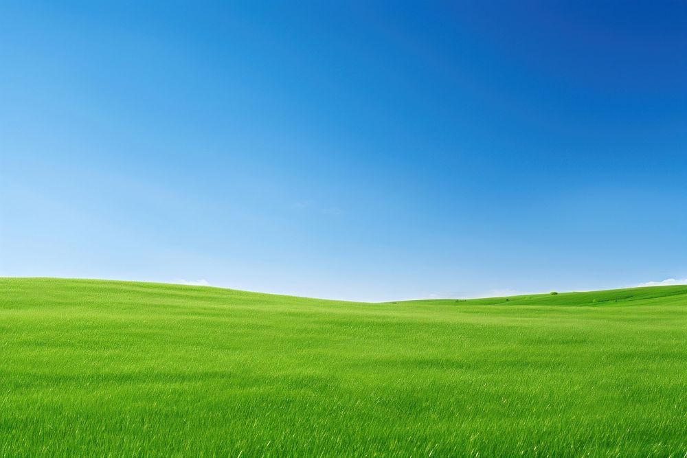 Perfect green meadow backgrounds landscape outdoors. AI generated Image by rawpixel.