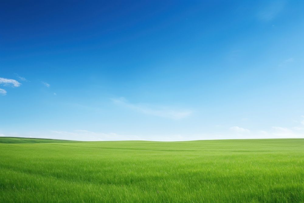 Perfect green meadow backgrounds landscape | Premium Photo - rawpixel