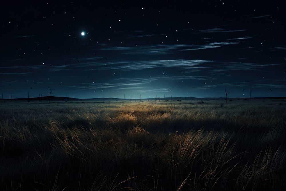 Meadow night sky landscape. AI generated Image by rawpixel.