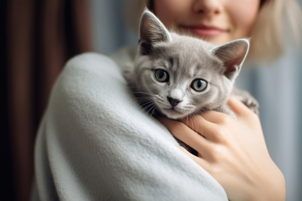 Animal holding blanket mammal. 