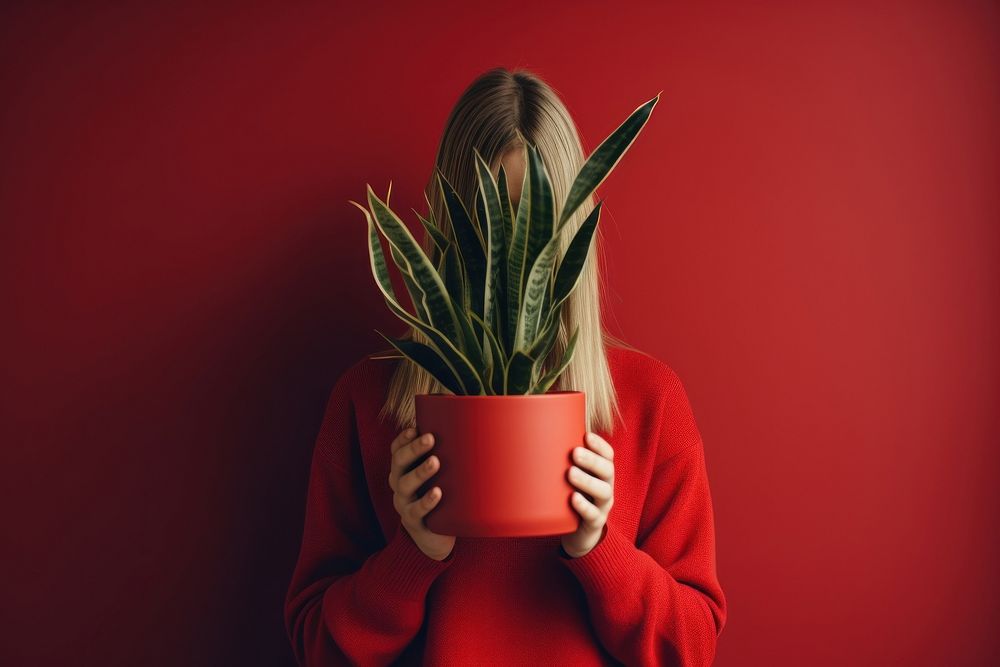Woman holding a potted plant face red houseplant. AI generated Image by rawpixel.