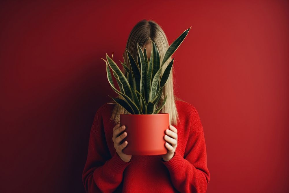 Woman holding a potted plant face red houseplant. 