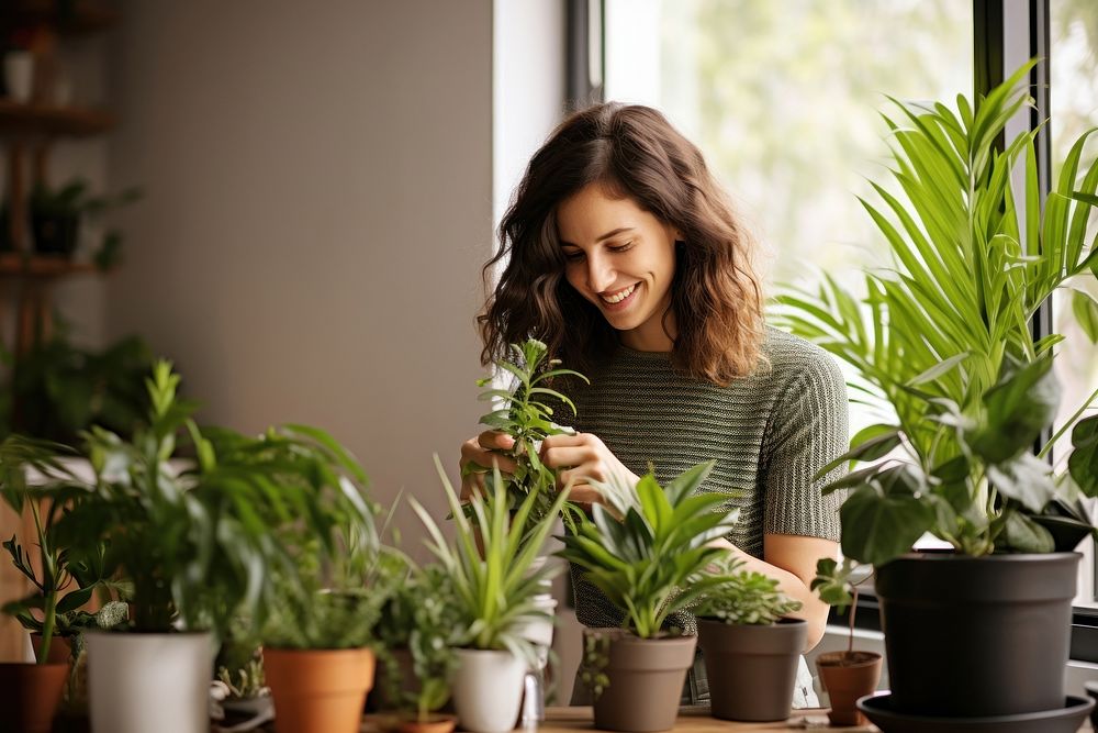 Gardening plant houseplant nature. AI generated Image by rawpixel.