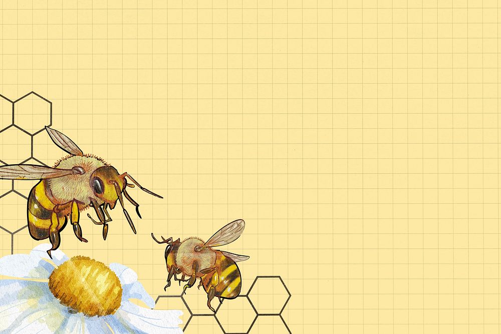 Yellow grid patterned background, bees border