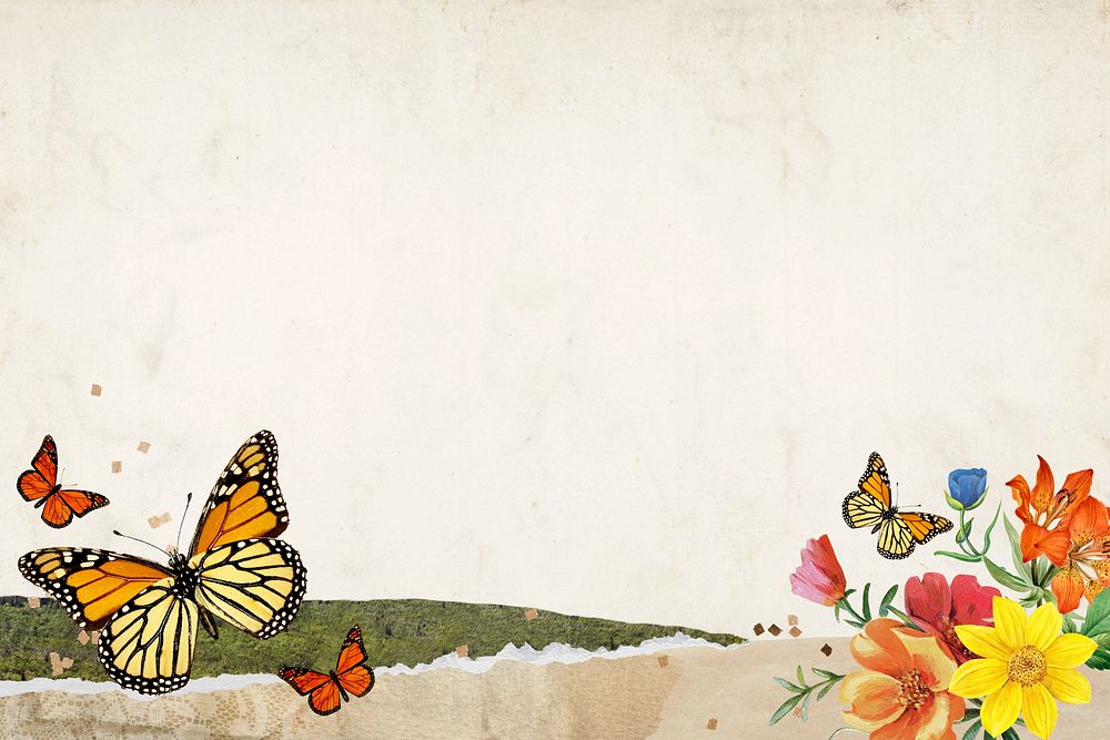 Old paper textured background, colorful butterfly border