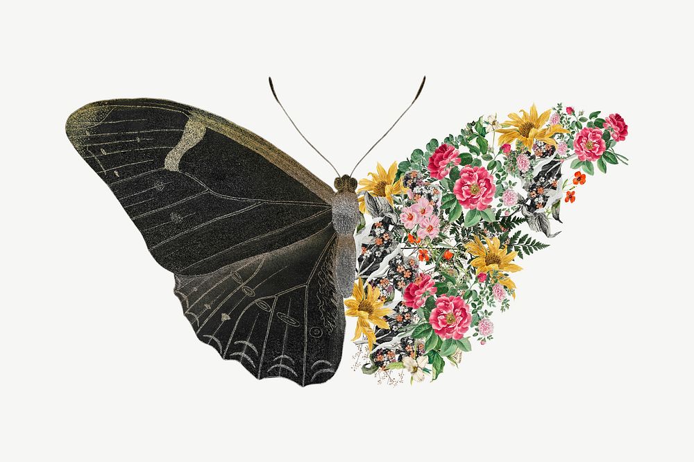 Black floral butterfly, creative remix