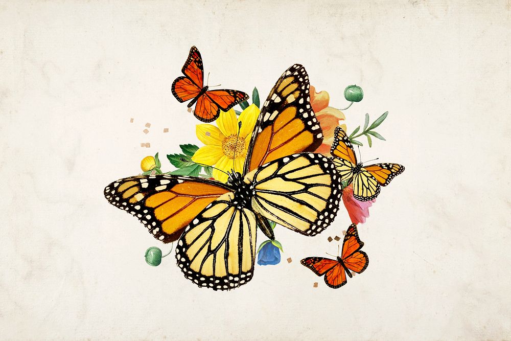 Monarch butterflies aesthetic, creative remix
