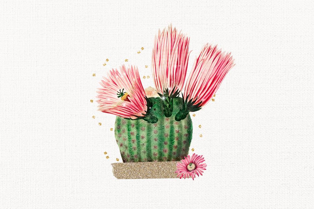 Cute cactus flower, botanical illustration
