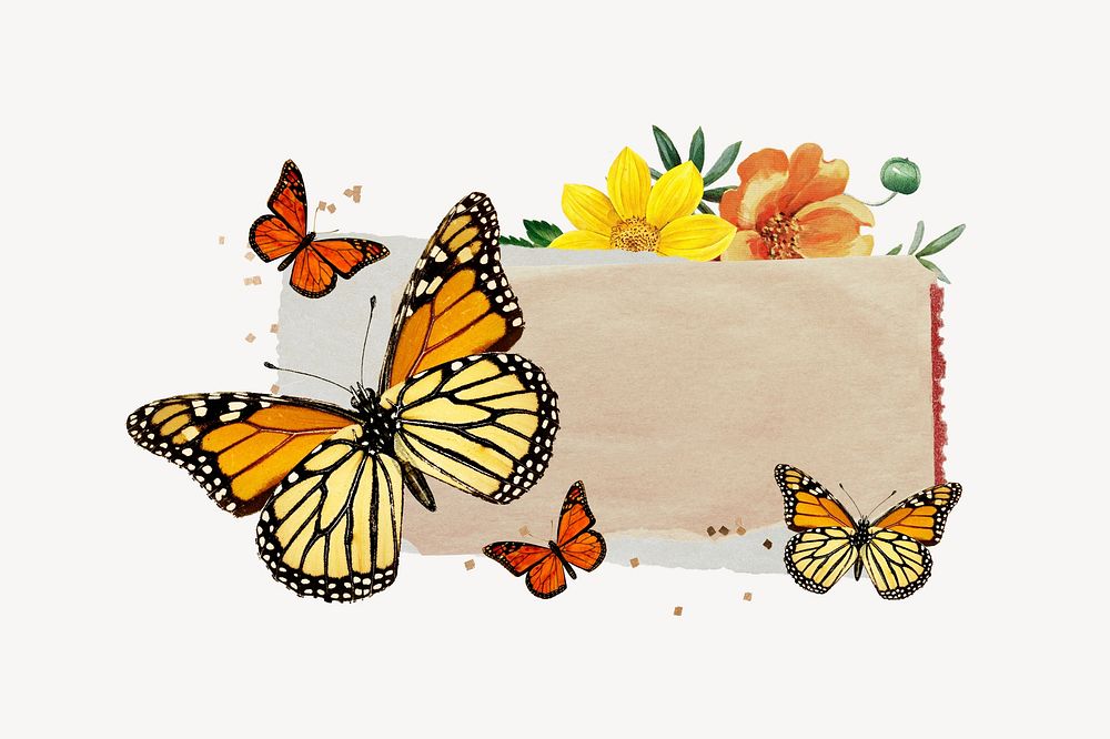 torn paper, paper, butterfly, flower