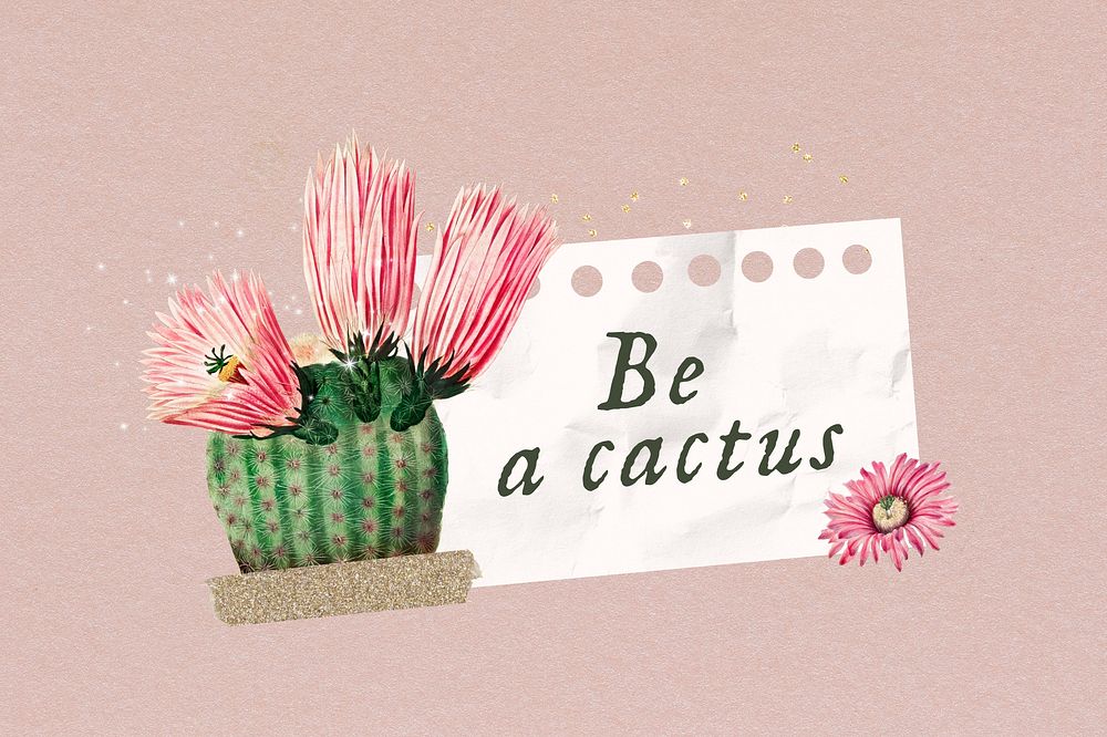 Be a cactus, aesthetic flower remix