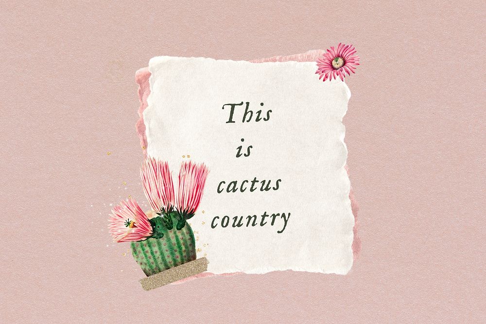 This is cactus country, note paper remix