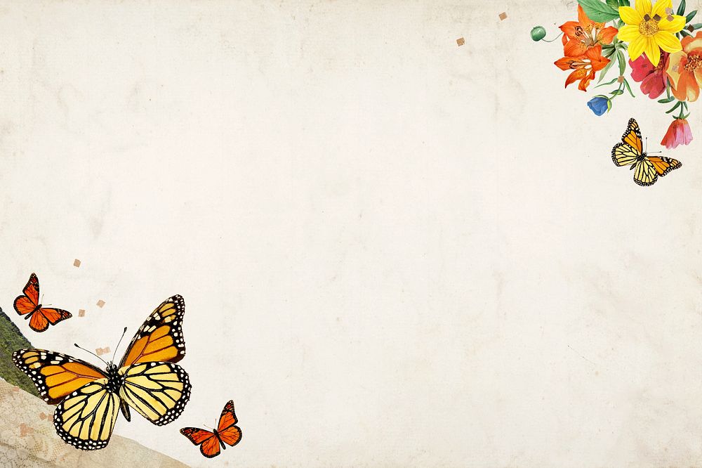 Old paper textured background, colorful butterfly border