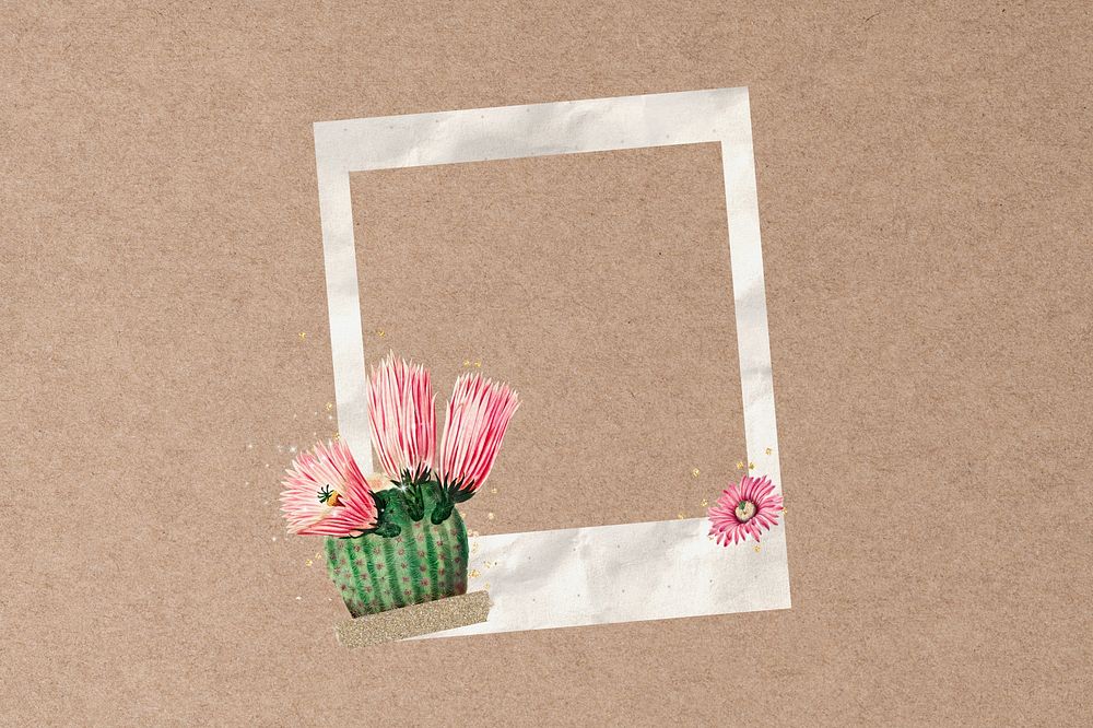 Cactus flower  instant film frame, creative remix