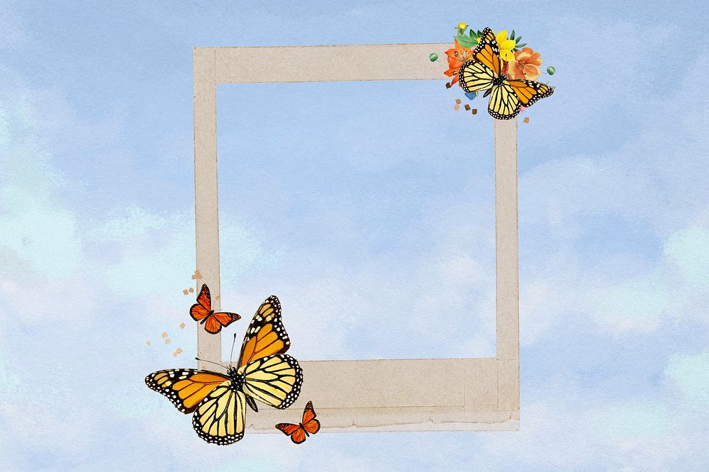 Butterfly instant film frame, creative remix