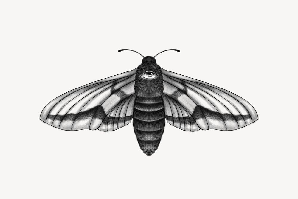 Spirit moth, spiritual illustration, design resource