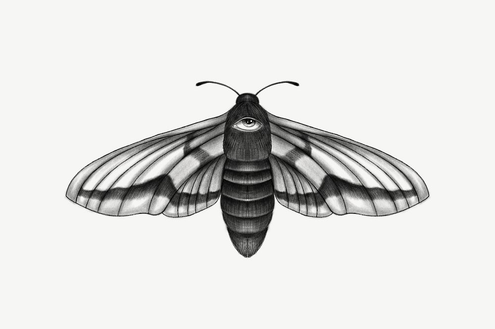 Spirit moth, spiritual illustration psd