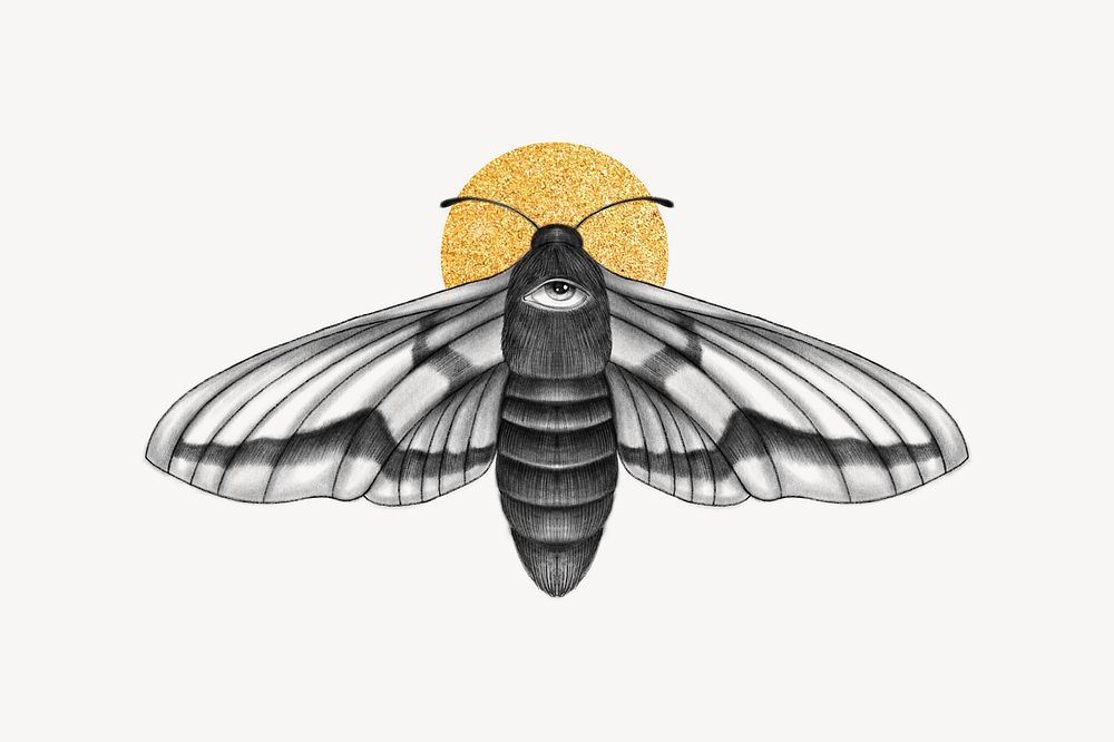 Spirit moth, spiritual illustration, design resource
