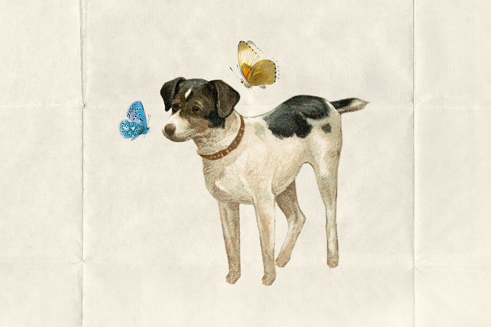 Vintage dog with butterflies collage illustration