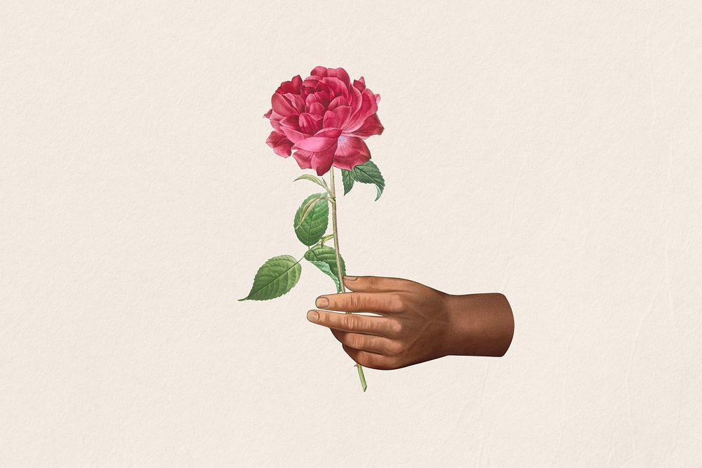 Vintage hand holding rose collage illustration