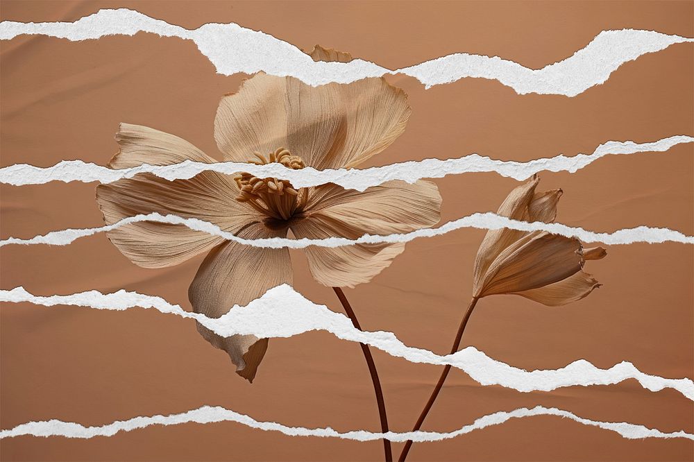 Dried flower with ripped paper effect