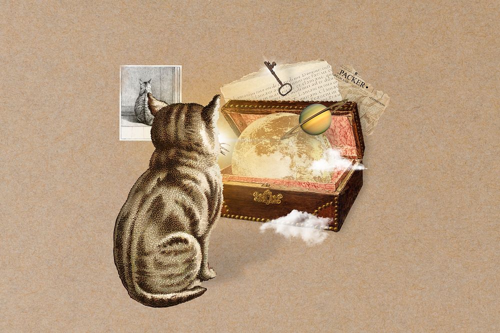 Vintage cat fantasy world collage illustration